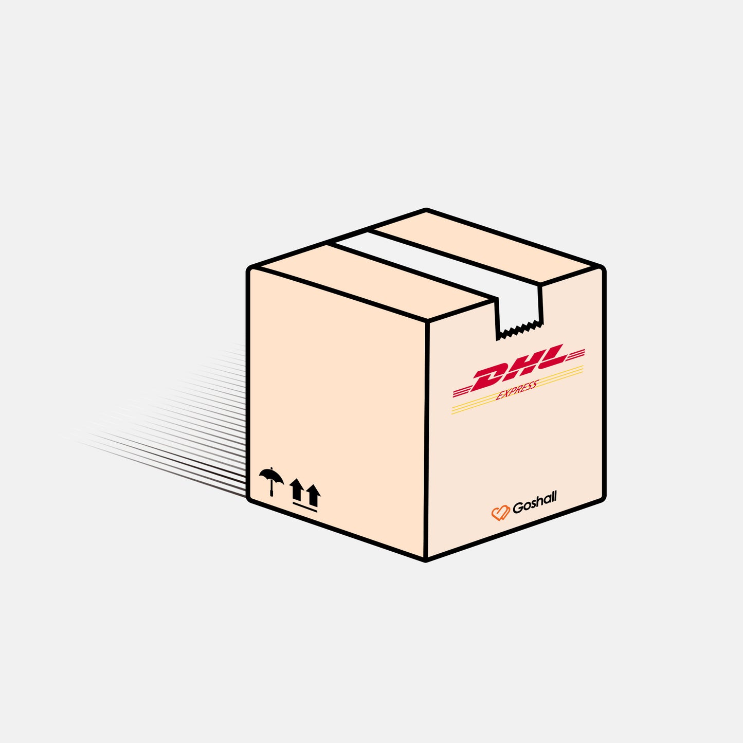 Expedited Shipping Service - DHL
